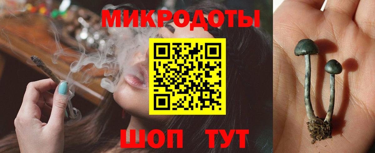 Казань  Галлюциногенные грибы мицелий  Вход с VPN 